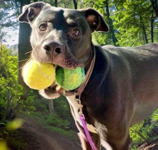 Photo of Bruce