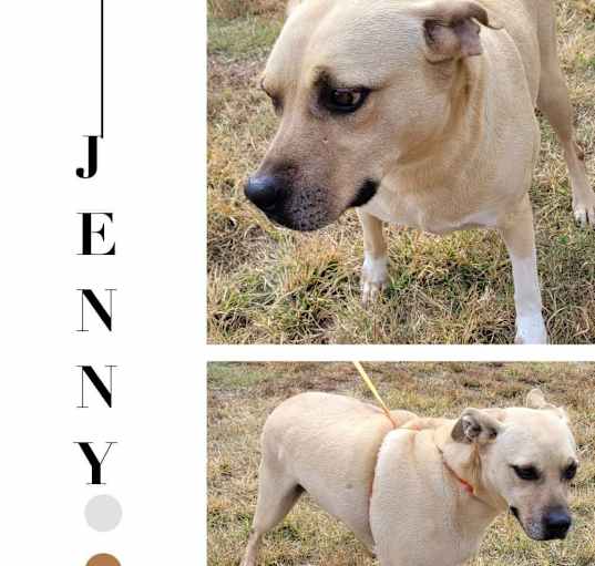 Photo of Jenny