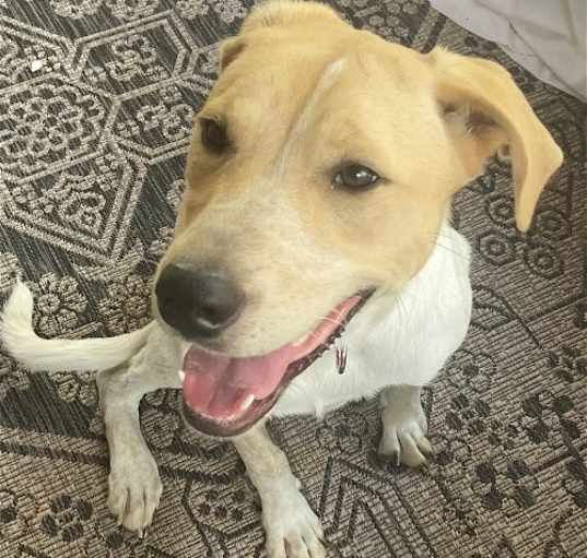 Photo of Lovely Lucy