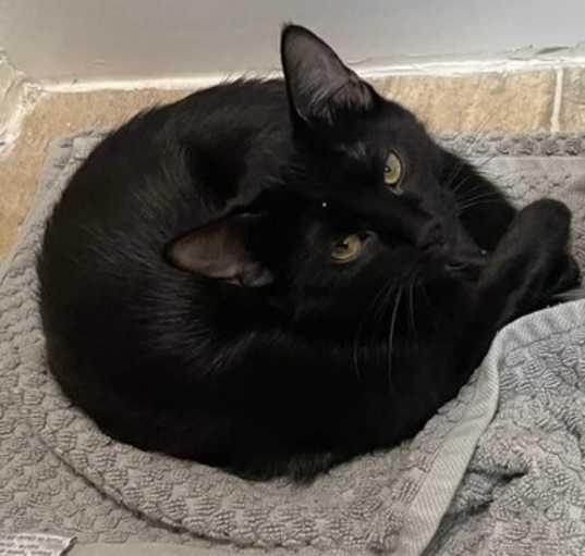 Photo of Casey