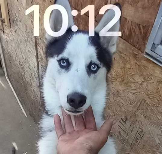 Photo of Togo