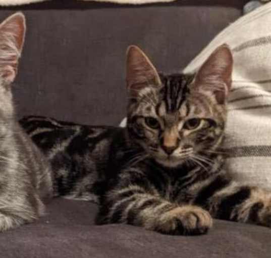 Photo of Cassy mama & her baby Teagan