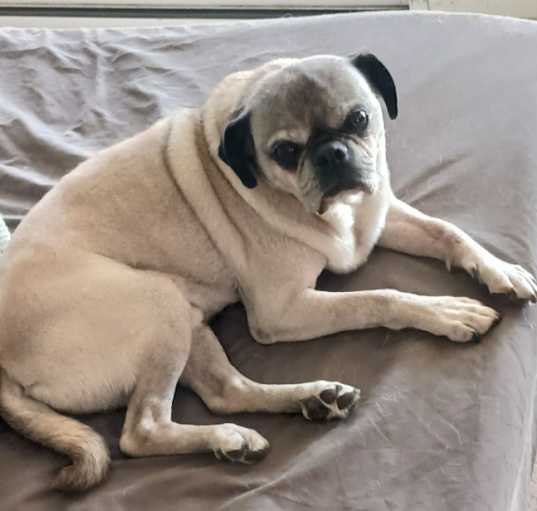 Photo of ROCKY