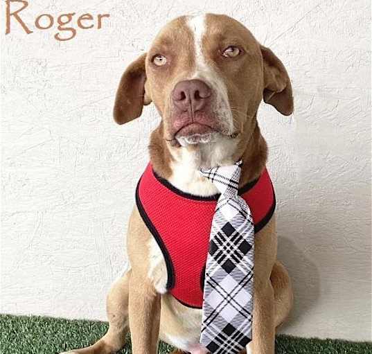 Photo of Roger