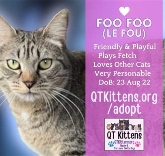 Photo of Foo Foo (Le Fou)