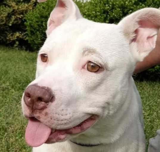 Photo of Lizzy