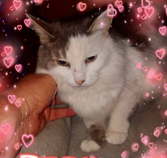 Photo of Baby
