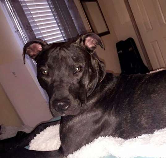 Photo of Harley Anne