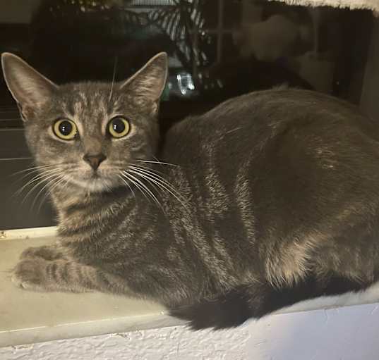 Photo of Cleo