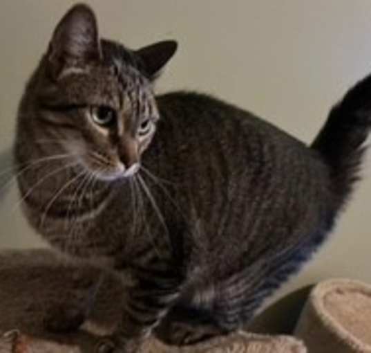 Photo of Spaz