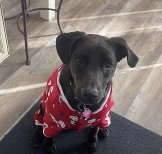 Photo of Abby