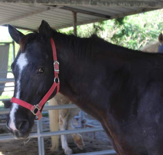 Photo of Lexi