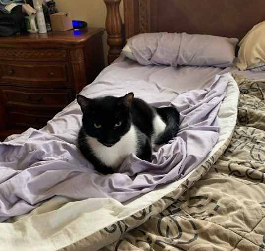 Photo of Charlie