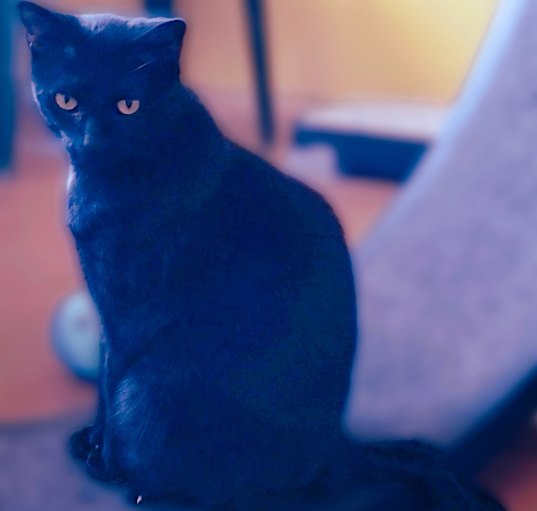 Photo of Fisher