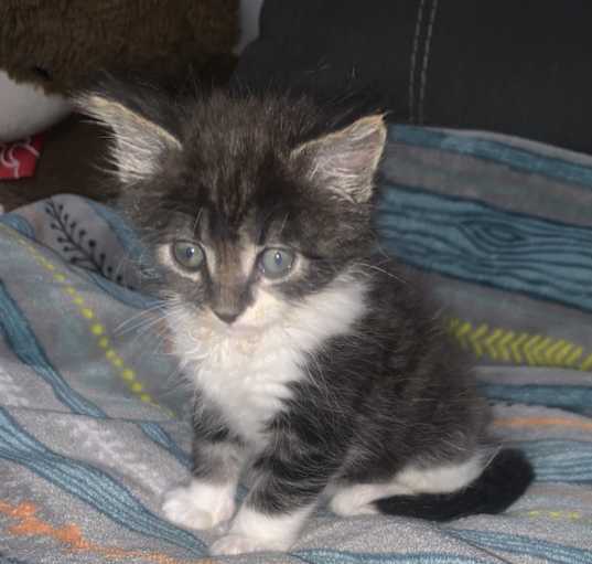Photo of Theo