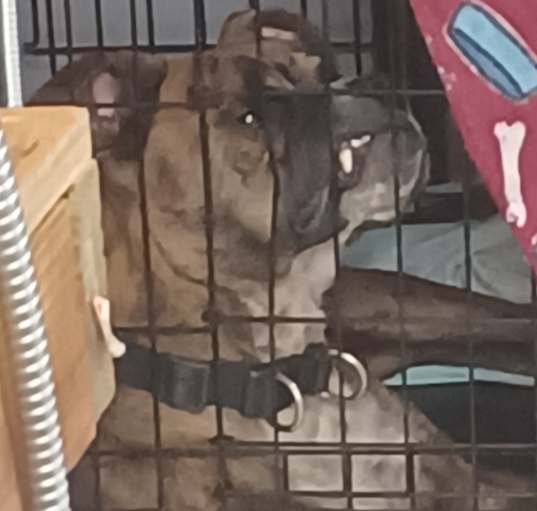 Photo of Apollo 