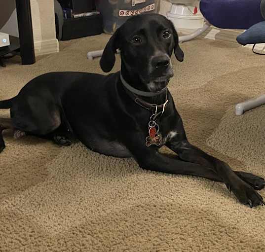 Photo of Jyn