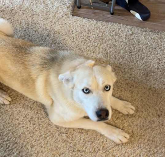 Photo of Elora