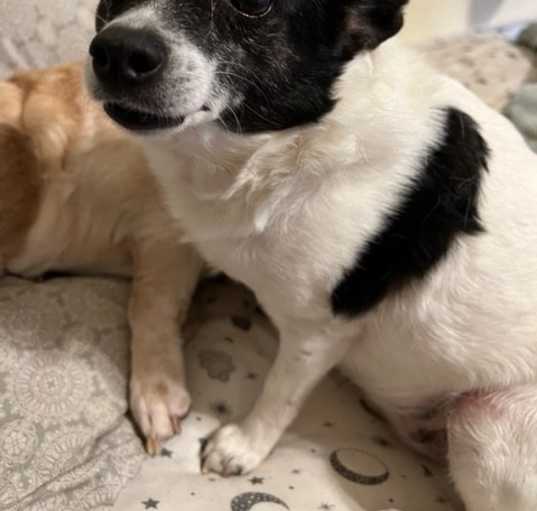 Photo of Clementine