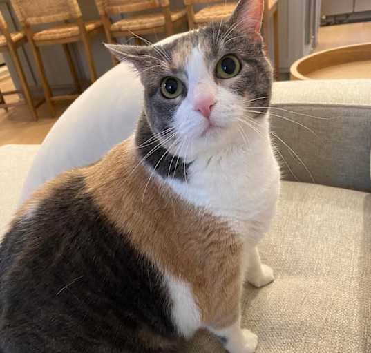 Photo of Riley