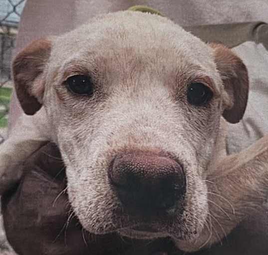 Photo of Brew
