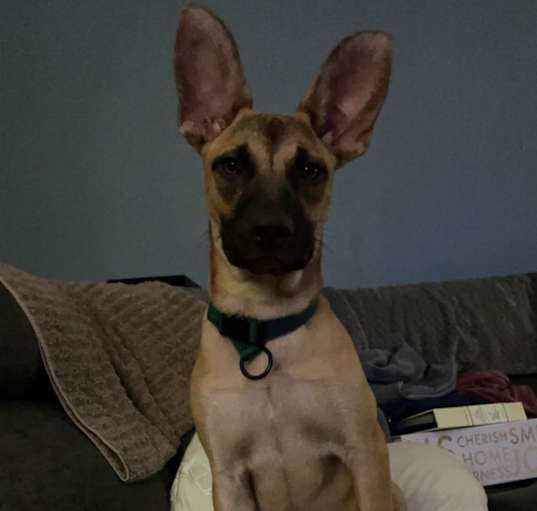 Photo of Zoe