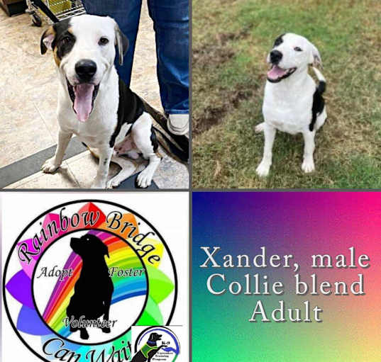 Photo of Xander