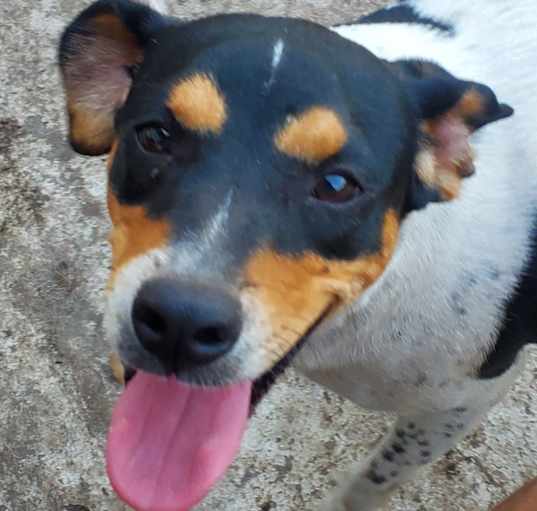 Photo of Shelby