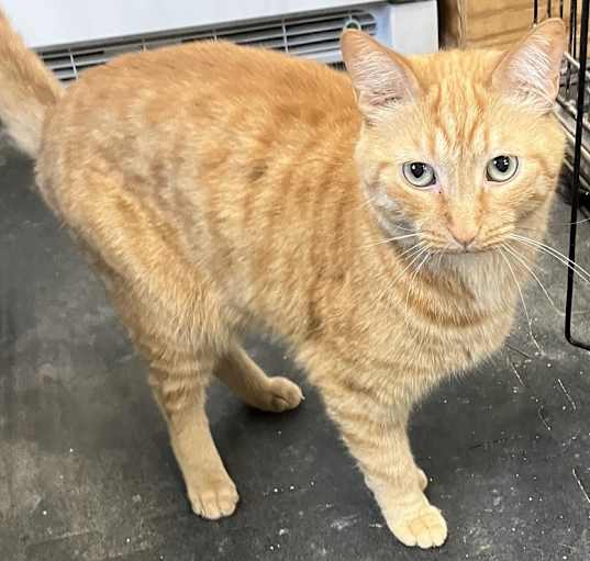 Photo of Casey