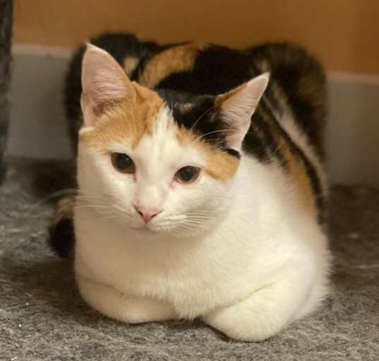 Photo of Minnie