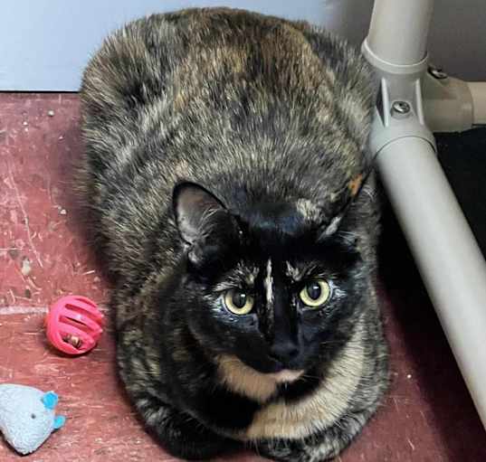 Photo of Matilda