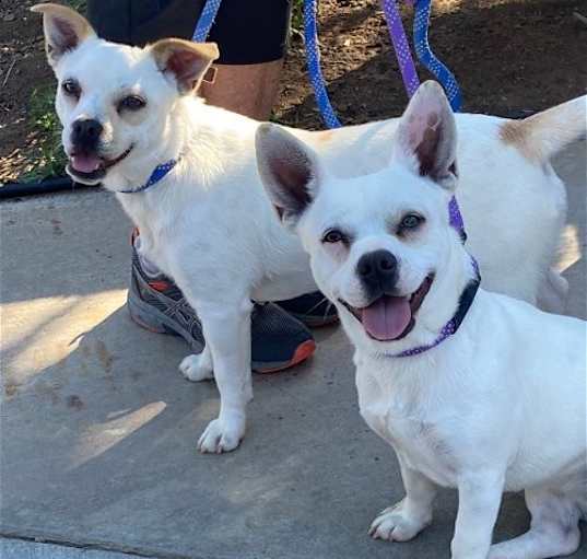 Photo of Thelma & Louise