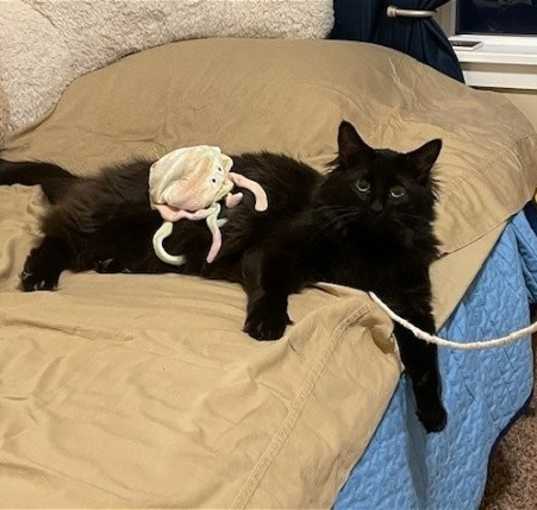 Photo of Severus