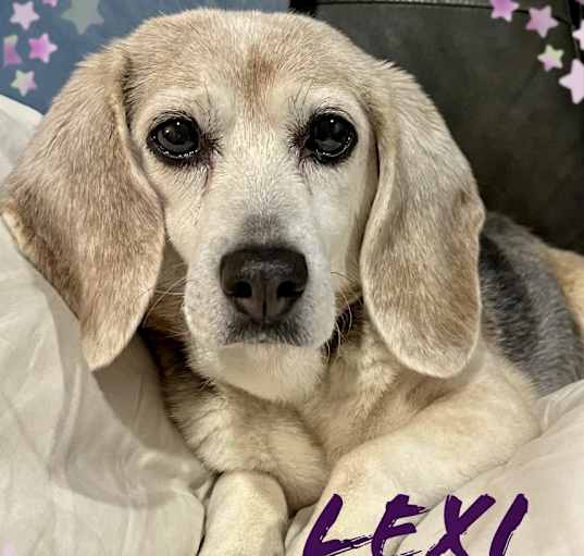 Photo of Lexi