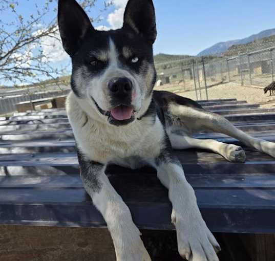 Photo of Calypso