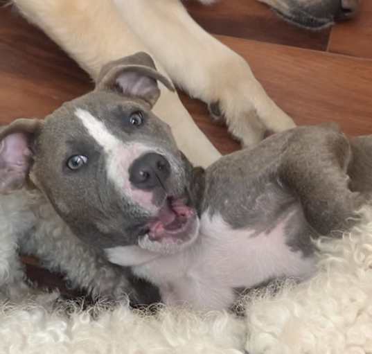 Photo of Fiona