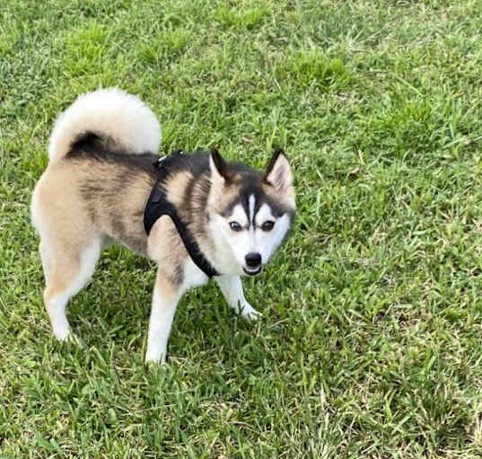Photo of Parker