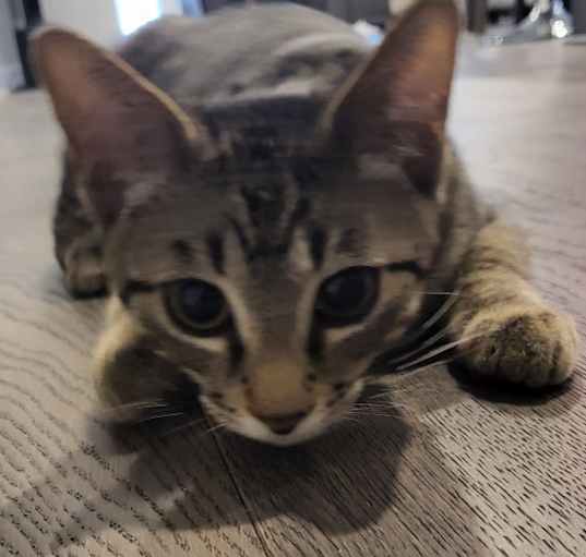 Photo of Zeus