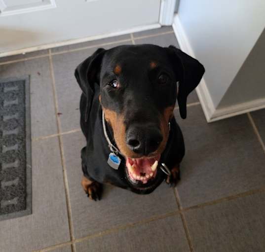 Photo of Kali