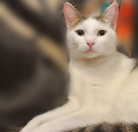 Photo of Simon