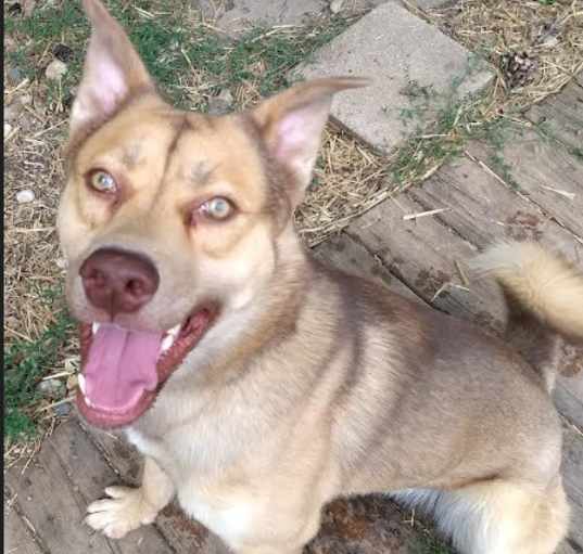 Photo of Timber