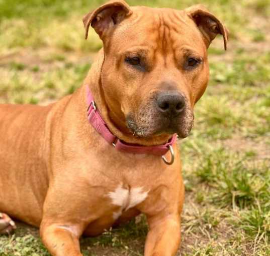 Photo of Athena