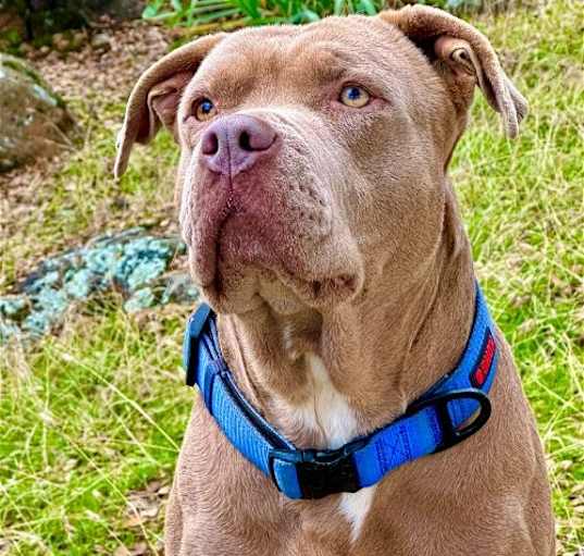 Photo of Tank