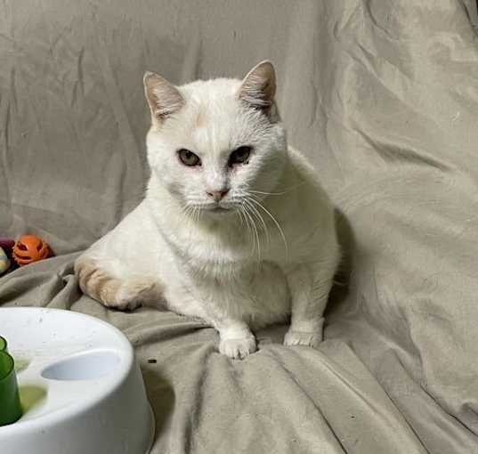 Photo of Murphy