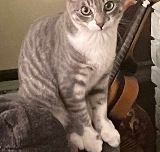 Photo of Pearl