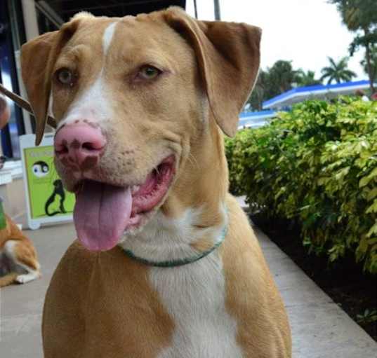 Photo of Lenox