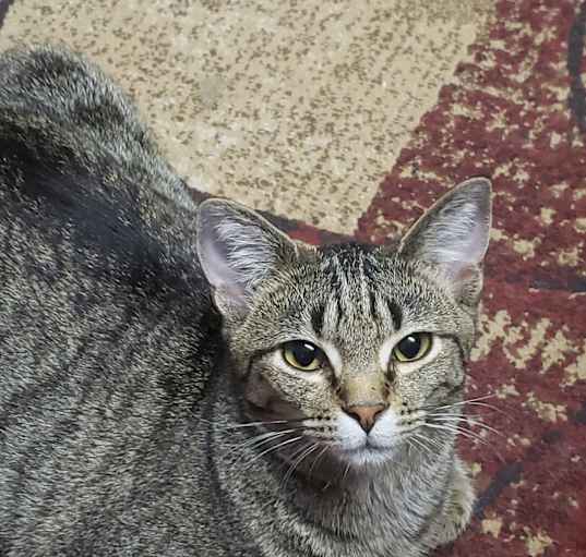 Photo of Roo