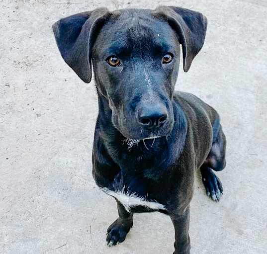Photo of Jack Jack