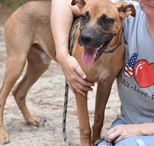 Photo of Bronco