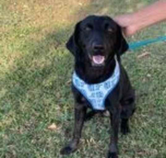 Photo of Luna 2 (TX)